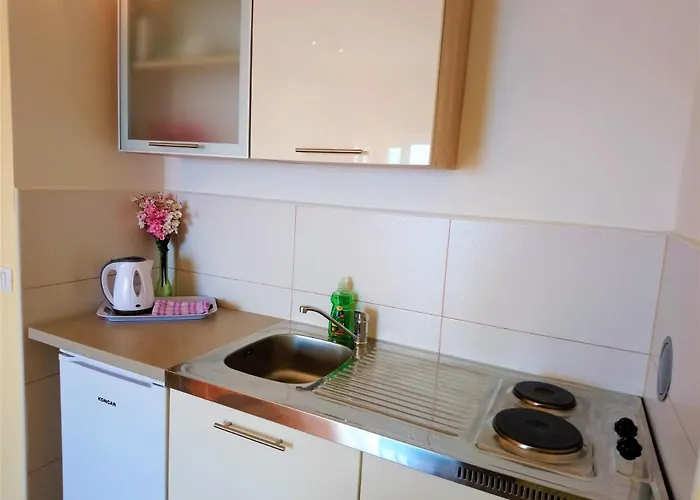 Apartment With A Parking Space - 7896 Opatija