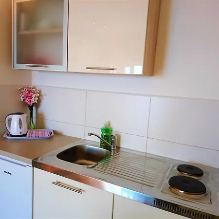 Apartment With A Parking Space - 7896 Opatija